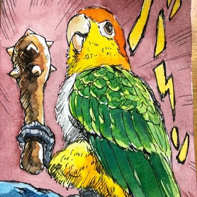🍀愛鳥の動画🍀シロハラインコ(シロ2005マロ2009)オカメ(ふう2004ペコ2008かしわ2011)🌈組(ポコ2008.07-2019.3.12)(つくね2011.05.22-2022.3.26)(しる2012.1.31-2024.12.7)