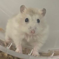 666 (@yuuayy22) 's Twitter Profile Photo