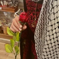 Raghad from gaza 🇵🇸 (@ahmedom78878) 's Twitter Profile