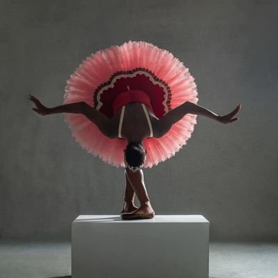 BashamChak37091's profile picture. 