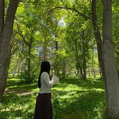 mercanntimur's profile picture. •imt