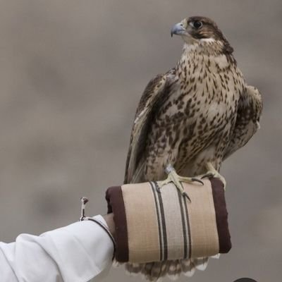 ndr1298358's profile picture. 