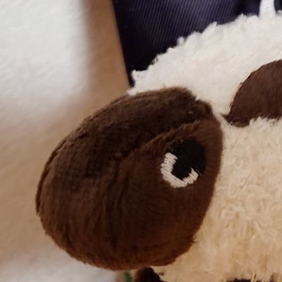 ほしていさんのプロフィール画像