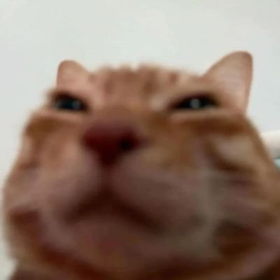 ealsさんのプロフィール画像
