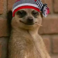 𝕋𝕙𝕖 𝕆𝕓𝕤𝕖𝕣𝕧𝕖𝕣 (@the_agendist) 's Twitter Profile Photo