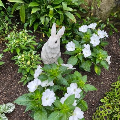 mimioji333's profile picture. 