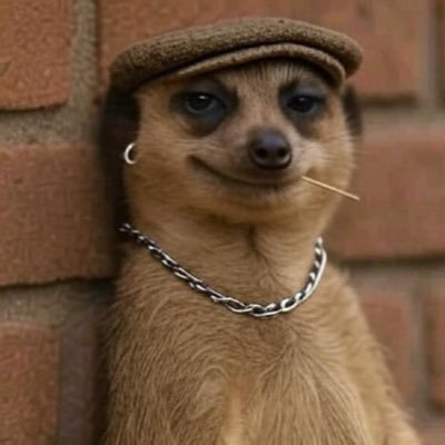 QushSaint's profile picture. 🍁🤡