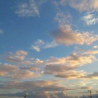 ねこもり (@nekomori_12) 's Twitter Profile Photo