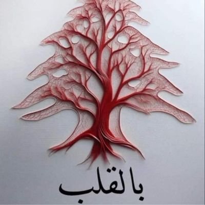 ebrahimzein4's profile picture. من لبنان / جويا الجنوب 🇱🇧