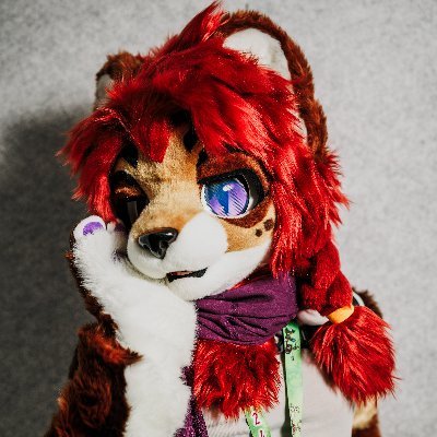 Zapさんのプロフィール画像