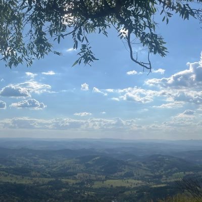 osilvafernandoo's profile picture. 