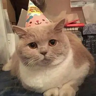 mvbtr22528957's profile picture. 