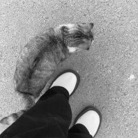 N (@xk) 's Twitter Profile