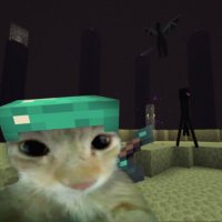 Nsucvs-vlr (@nsucvs) 's Twitter Profile