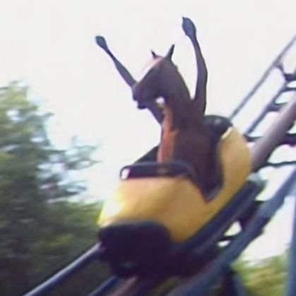 squidoodl3's profile picture. 90% horse |
she/her