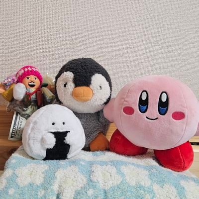 ぬいぐるみとどうぶつ、かわいいで癒されたいお姉ちゃん(人間)が可愛いうちの子(ぬい)たちを見せびらかす用のアカウント/ぺんたん(猫背)、カービィ(もっちり)、おにぎりさん(ぎゅっと)、西田さん(エケコ人形)が主にわちゃわちゃ/菜の花の咲く頃に