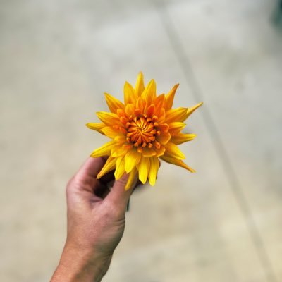 PzzldCanteloupe's profile picture. 
