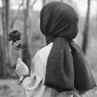 فهد المولد (@falmwld80613) Twitter profile photo