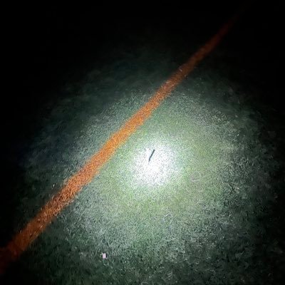 LLilalil92908's profile picture. 디지털디톡스연습생의지망생