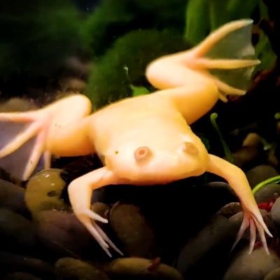 YOBI_ETH's profile picture. https://t.co/FNyauvCI68
0x98931a97a62fF3A8E2b42b7eA186Cff193c2A67f