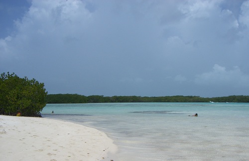 Alisebas97's profile picture. 