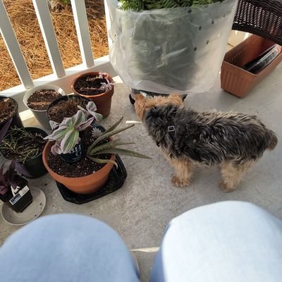 JackieSell90999's profile picture. 