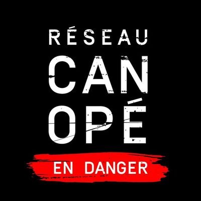 RCenDanger's profile picture. Réseau Canopé (anciennement CNDP) est en danger ! Aidez-nous à sauvegarder nos missions de service public essentielles à nos enfants et leurs enseignants !