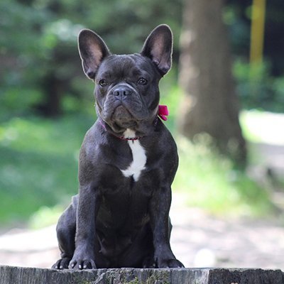 piquet_alain2's profile picture. Accepter sa maladie est un pas vers la guérison.