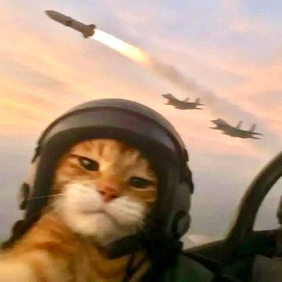 dinesh433x's profile picture. Frontend Dev