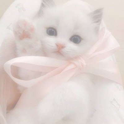 kirakira_0571's profile picture. 岡佑吏くん🌟🪄︎︎