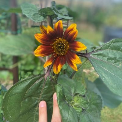 brumeetlavande's profile picture. 