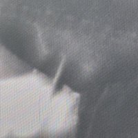 * (@clashhhhhhhh) 's Twitter Profile