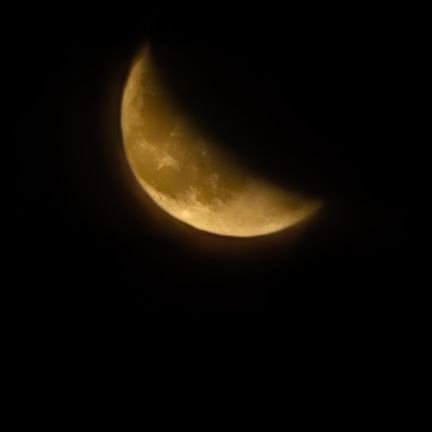 TianY38276's profile picture. 