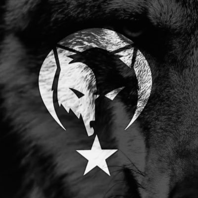 greywolves0's profile picture. Dünyanın düzeni bozulmuş, adalet susmuş olabilir. Ama Türk susmaz. Türk unutmaz. Türk affetmez.