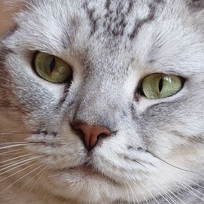 hrnyntk's profile picture. 本業はヒモ、副業でニンゲンの歯をつついている架空の人物

そろそろ閉院しそう