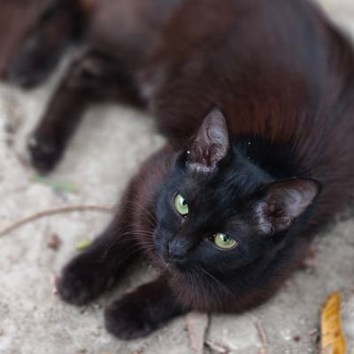 0xsabiha's profile picture. Web3 learner | Guided by faith, growing with code 🌙🚀