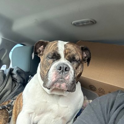 ForesightOutdo1's profile picture. Just my point of view of things!