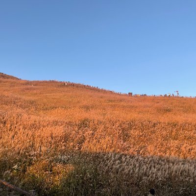 kocc24's profile picture. web3爱好者，撸猫越挫越勇选手，坚信会踩中大毛！