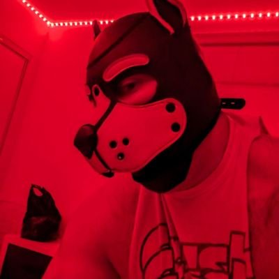 Chileno🇨🇱 AQUÍ SOLO CHICOS GAY BIASEXUALES NADA DE TRANS
No ASEPTOS perfiles SIN CONTENIDOS
OSO VERSÁTIL, SEMI LAMPIÑO, #ANTOFAGAY