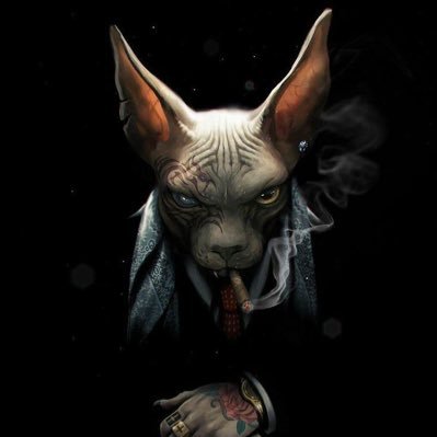 degenapple100's profile picture. Shitcoins !!!! $blackcoin