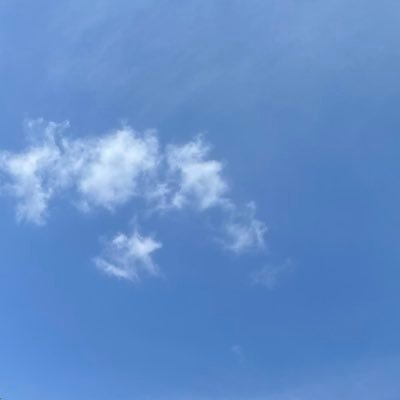 su__da__ma's profile picture. 就活中