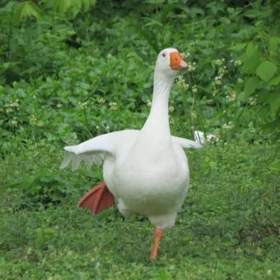 dear_my__dream_'s profile picture. 계정뒤에 사람있어요 무시금지🥲