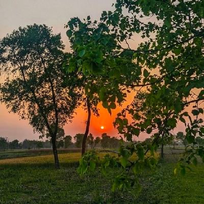 श्रद्धा ज्ञान देती है, नम्रता मान देती है,
और योग्यता स्थान देती है!
पर तीनों मिल जाएं तो,
व्यक्ति को हर जगह सम्मान देती हैं!