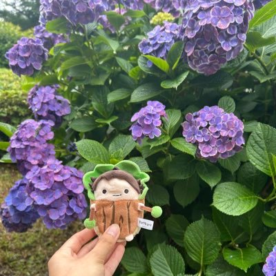 ざえ lll 🐳✨🎨さんのプロフィール画像