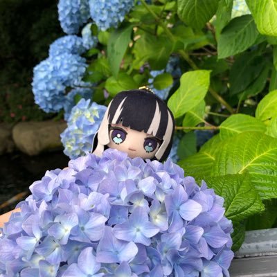 hichikaさんのプロフィール画像