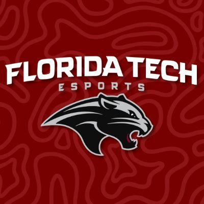Florida Institute of Technology Varsity program competing in League of Legends, Rocket League, Valorant, Overwatch 2, and SSBU in the 2024 - 2025 season! 🐾