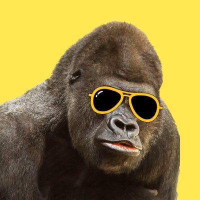 人生すべてが経験値稼ぎ。おもしろいこと・成長することを日々探求するノイチの個人メディア。No crazy, No life!!