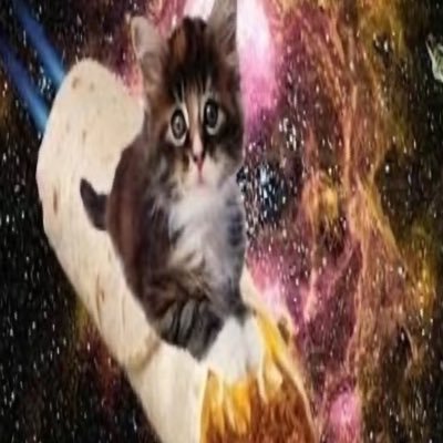 jimmymcgill1234's profile picture. 
