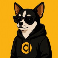 Chi Web3 🚀 (@chiweb3x) 's Twitter Profile