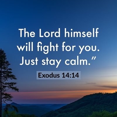 Berma_Nso's profile picture. God is greater than the highs and lows 🔮🤞|| Great minds || Father & a husband ❤️|| Entrepreneur || BHIM fun ✊|| Chelsea fun 💙